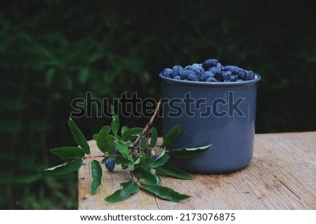 Blue honeysuckle in metal mug on wood background. Fresh honeysuckle berries harvest from berry farm. Royalty-Free Stock Photo #2173076875