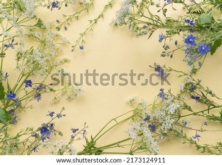 Floral frame on a yellow background. Summer background.