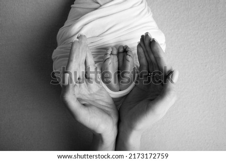 The palms of the father, the mother are holding the foot of the newborn baby. Feet of the newborn on the palms of the parents. Photography of a child's toes, heels and feet. Black and white photo.
