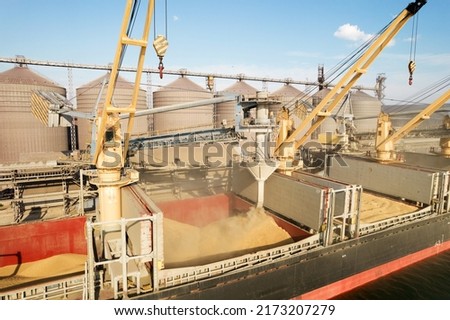 Loading grain into holds of sea cargo vessel through an automatic line in seaport from silos of grain storage. Bunkering of dry cargo ship with grain Royalty-Free Stock Photo #2173207279