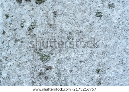 Old concrete wall. Ideal for textures and backgrounds. High quality photo