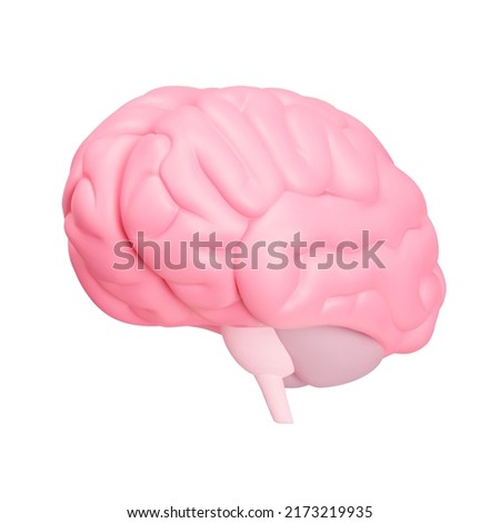 Human Brain 3d icon. Isolated object on a transparent background