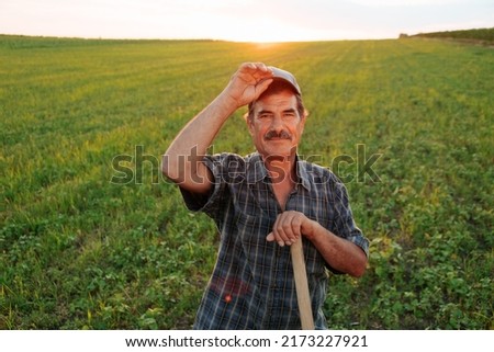 glad Latin American farmer with cap looking at the camera cheerfully and smiling at sundown. Portrait of the successful senior farmer with moustached smiling at camera Royalty-Free Stock Photo #2173227921