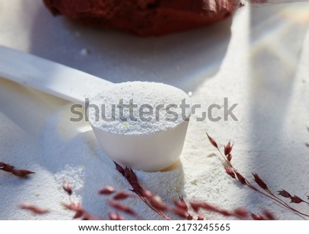 Sport food supplement powder with natural beige background and props. supplement, creatine, hmb, bcaa, amino acid or vitamine in a white scoop. Sport nutrition
→ Check my profile for more !!! Royalty-Free Stock Photo #2173245565