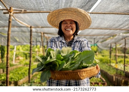 Happy Asian farmer harvesting fresh organic vegetable in local farm at countryside. Royalty-Free Stock Photo #2173262773