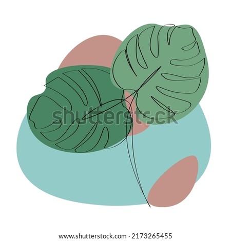 Tropical monstera leaves on white background