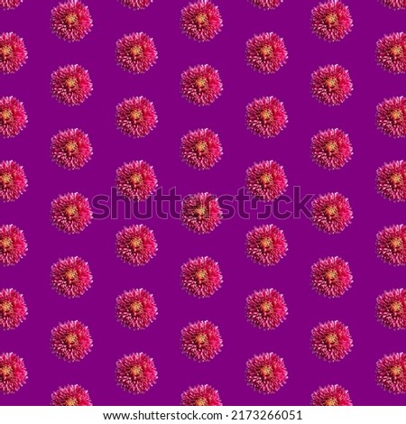 Beautiful chrysanthemums in geometric grid pattern on a velvet violet background