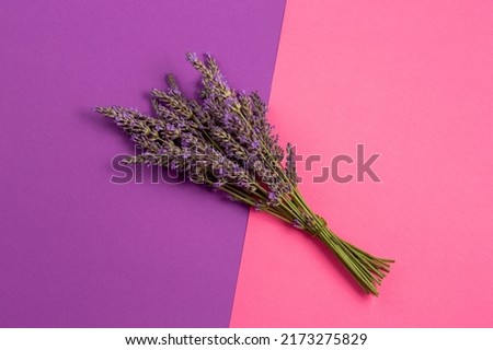 Fresh Lavender flowers in bouquet on violet purple and pink minimal background.  Top view, flat lay mock up, copy space. Minimal background concept. Dry flower floral composition isolated. Spa skin