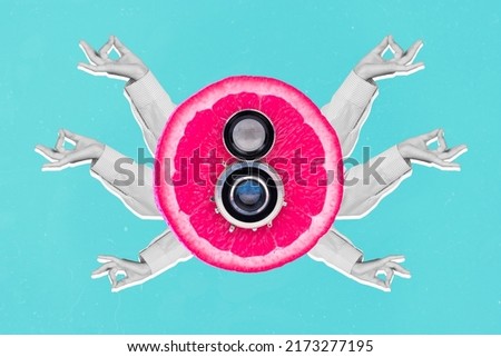 Collage picture of photo camera inside pink citrus fruit half arms fingers meditate black white gamma isolated on creative background