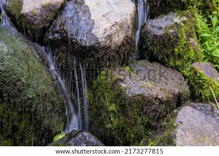 View of a detail of a small waterfall with little water in the Westerwald - Germany