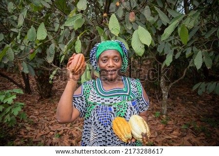 African farmer with freshly harvested cocoa pods from her plantation Royalty-Free Stock Photo #2173288617