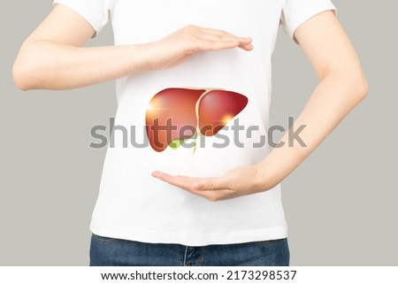 Healthy human liver and gallbladder anatomy between two palms. Protecting against liver disease and organ donation concept. Royalty-Free Stock Photo #2173298537