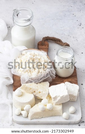 Fresh dairy products (milk, kefir, feta, cottage cheese, Mozzarella).Symbols of jewish holiday - Shavuot	
 Royalty-Free Stock Photo #2173302949