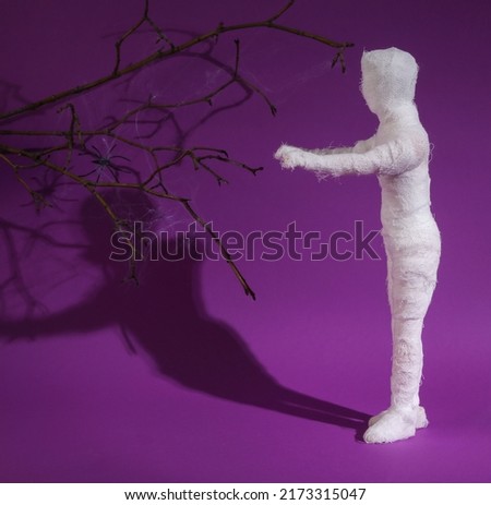 Mummy doll wrapped in bandages on a purple background with a shadow and a dry branch in the cobweb