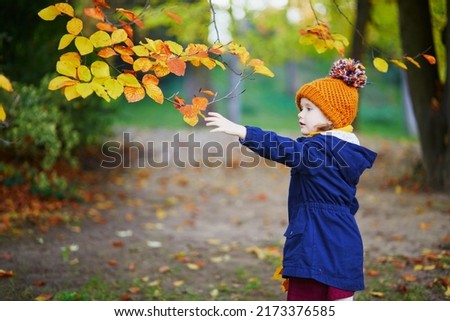 Adorable preschooler girl enjoying nice and sunny autumn day outdoors. Happy child gathering autumn leaves in Paris, France. Outdoor fall activities for kids Royalty-Free Stock Photo #2173376585
