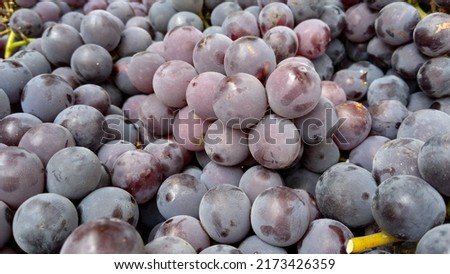 Close up view of healthy grapes.