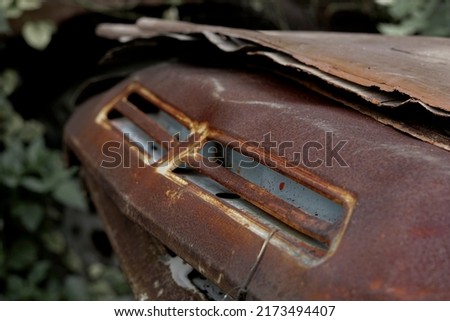 abandoned car hood in the bush