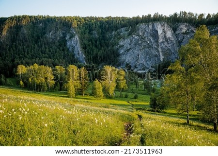 Green forest evening lighting, rock on the river bank, trail climbs uphill, tourist route, landscape, panorama from a height. High quality photo