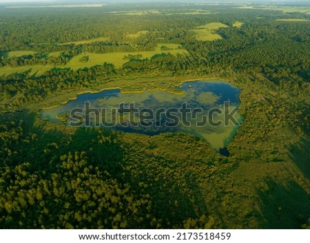 Lake in shape of a heart in forest. Freshwater Lakes. Water supply problems and water deficit, ecology and environmental. Morass and wetlands, aerial view. Mire Conservation. Bog, fen, mire landscape. Royalty-Free Stock Photo #2173518459