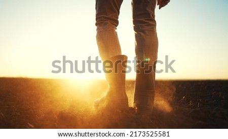 farmer feet walks across a black field. agriculture business concept. silhouette of a farmer feet at sunset walking across a black plowed field. farmer in rubber boots legs lifestyle close-up Royalty-Free Stock Photo #2173525581