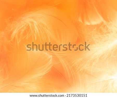 Beautiful abstract white and brown feathers on white background and soft yellow feather texture on white pattern and yellow background, feather background, gold feathers banners, brown texture Royalty-Free Stock Photo #2173530151