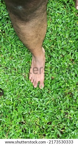 Beautiful image of human leg in green grass.