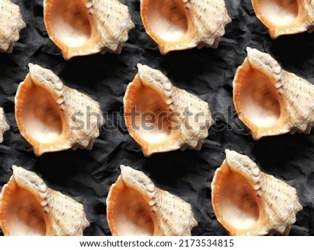 Pattern of sea shells on a black background from craft crumpled paper.  Background from rapana shells. Summer backdrop. Clam house.