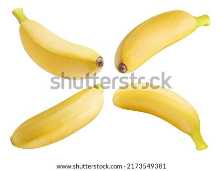 Set of baby bananas, isolated on white background Royalty-Free Stock Photo #2173549381