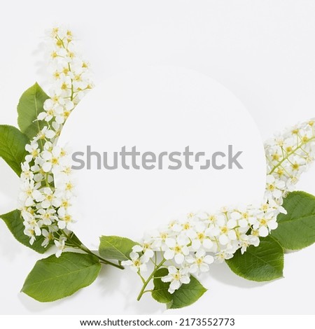 Summer white round blank pad for text mockup with white bird cherry flowers, green leaves fly on white, square. Holiday floral background for advertising, branding identity, greeting card, design.