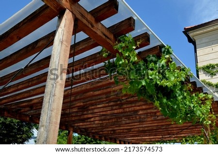 terrace with wooden pergola and plexiglass roof. vines are straining, crawling under the beams. garden or park. sitting with dry wall wine region. restaurant countryside france, truss Royalty-Free Stock Photo #2173574573