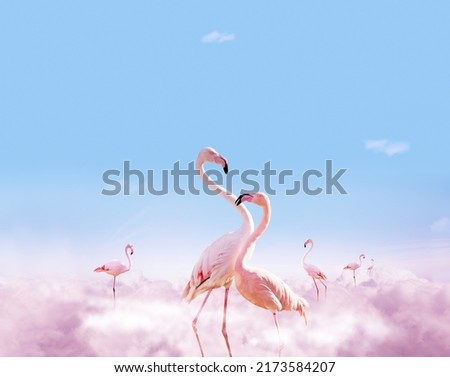 Two pink flamingoes stand in light clouds - dreamy concept mixed-media composition collage image