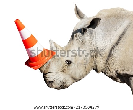 Rhinoceros head portrait wear road cap on the horn - heavy construction worker mixed media composition concept