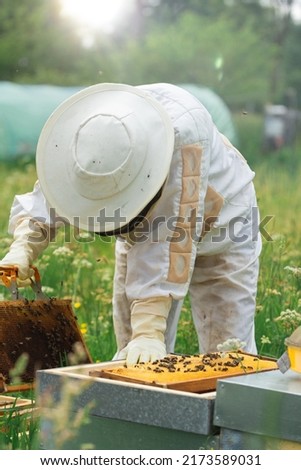 beekeeper crouched down, pulling a picture with bees leaning against a hive at dusk in backlight. vertical.