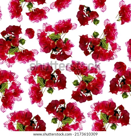 Seamless background. Image of the bougainvillea plant.A bright red and pink flower. Background picture. Drawing for oilcloth.