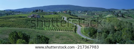 Rural scene, Tuscany, Italy