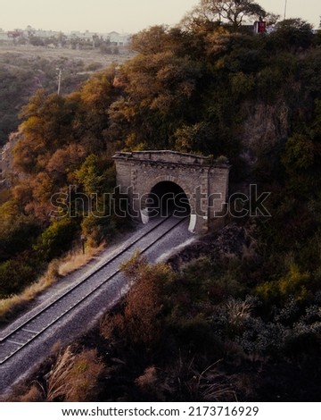 A picture of a train tunnel during the beautiful season of Autumn.
