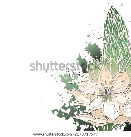 Decorative background with Ornithogalum narbonense. Card template design. Vector illustration.