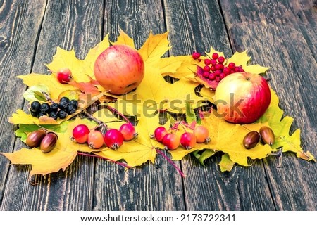 Bright yellow autumn leaves, apples, acorns and rowan on a wooden background