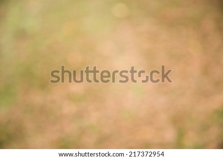 Green grass red leaves blurry background autumn bokeh