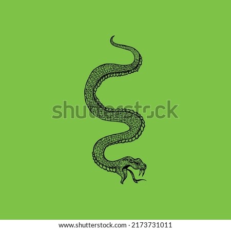 Snake cobra icon illustration. Snake vector