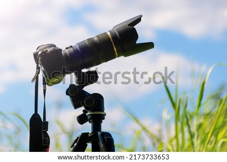 Camera and zoom lens adjusted to capture the bird in the tree and the sky in the background Royalty-Free Stock Photo #2173733653