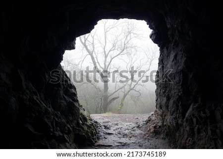 Looking out of a cave entrance onto a misty winters day.  Royalty-Free Stock Photo #2173745189