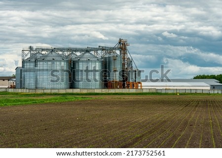 next to the plowed agricultural field installed silver silos on agro manufacturing plant for processing drying cleaning and storage of agricultural products, flour, cereals and grain. Granary elevator