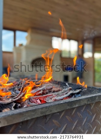 fire bonfire. beautiful flame on the grill. fry meat outdoors. barbecue, dinner