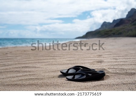 A pair of flip flops at a secluded, empty tropical beach