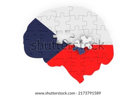 Czech flag painted on the brain from puzzles. Scientific research and education in Czech Republic concept, 3D rendering isolated on white background