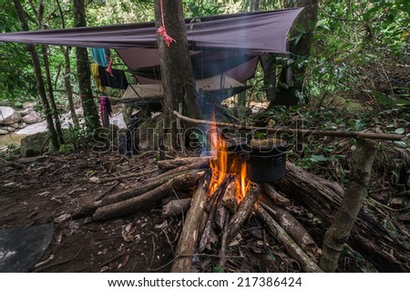 camping in the jungle Royalty-Free Stock Photo #217386424