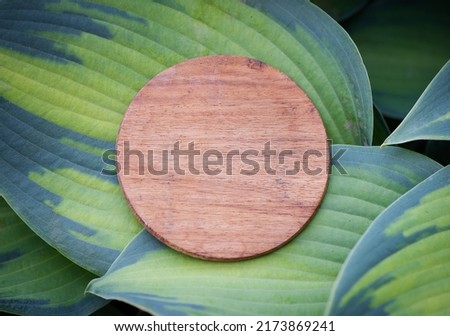 Mock up wooden empty round board on the green leaves. Layout for design
