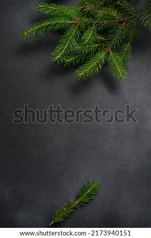 Vertical Dark Background with Living Fir Branches. Christmas Theme. Picture for Cover, Postcards