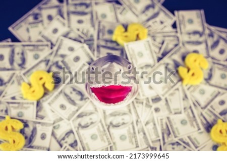 Funny smiling shark head depicting of a loan shark emerging from the ocean full of dollars. Blurry background with selective focus on the nose.